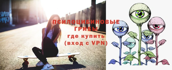 сатива Киренск