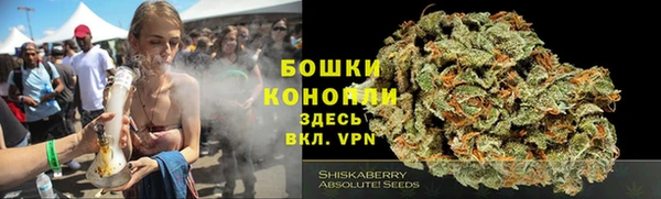 сатива Киренск